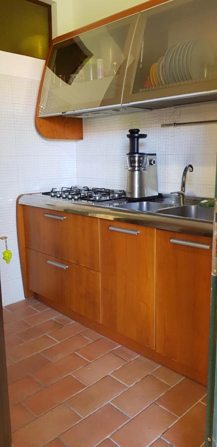 Villa Il Lauro 比萨 外观 照片