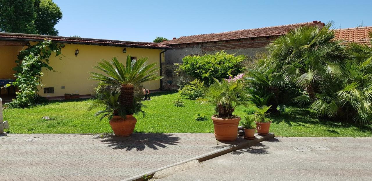 Villa Il Lauro 比萨 外观 照片